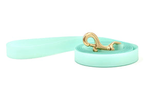 Mint Waterproof Leash