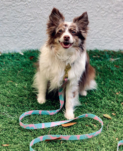 Tropical Waterproof Leash