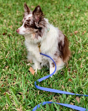 Load image into Gallery viewer, Periwinkle Blue Waterproof Leash